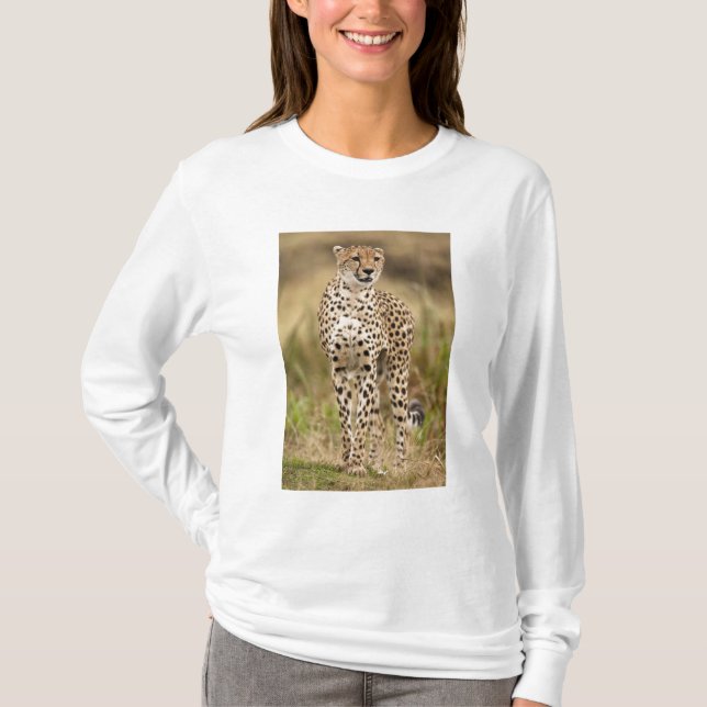 Camiseta Chita, Acinonyx jubatus, en Masai Mara (Anverso)
