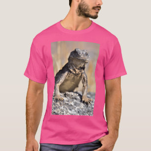 Camiseta Chuckwalla En Watch Activo