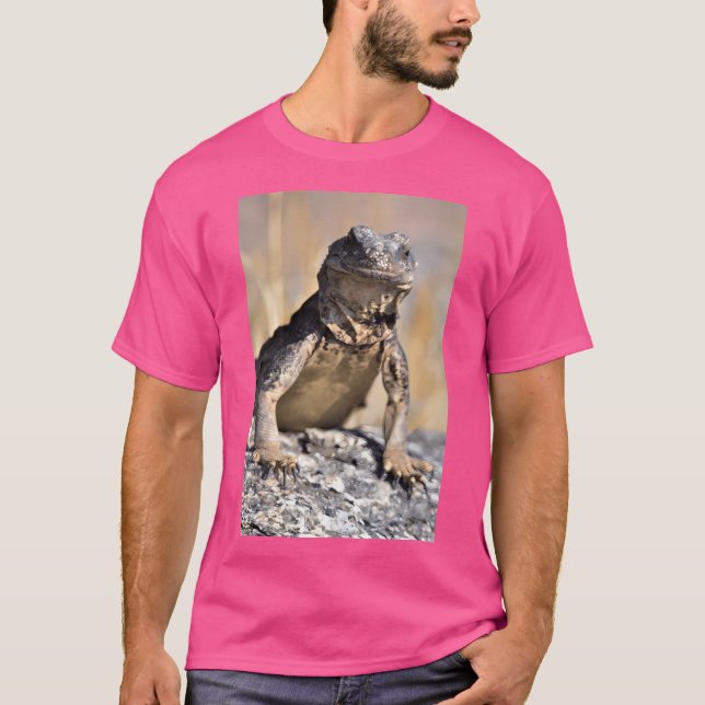 Camiseta Chuckwalla En Watch Activo (Anverso)