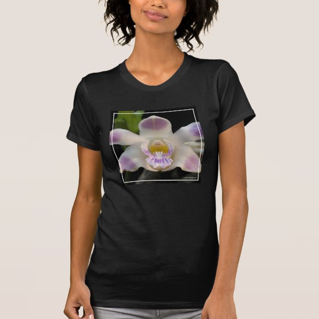 Camiseta Chysis Violacea (Anverso)