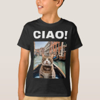 Ciao Funny Gondolier Cat En Un Gondola Veneciano
