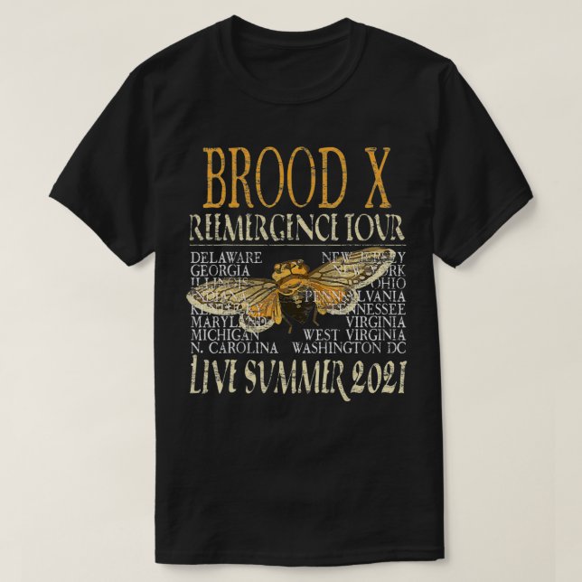 Camiseta Cicada Insect 17 Year Brood X Great Eastern Brood  (Diseño del anverso)