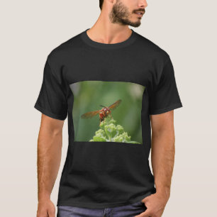 Camiseta Cicada Killer