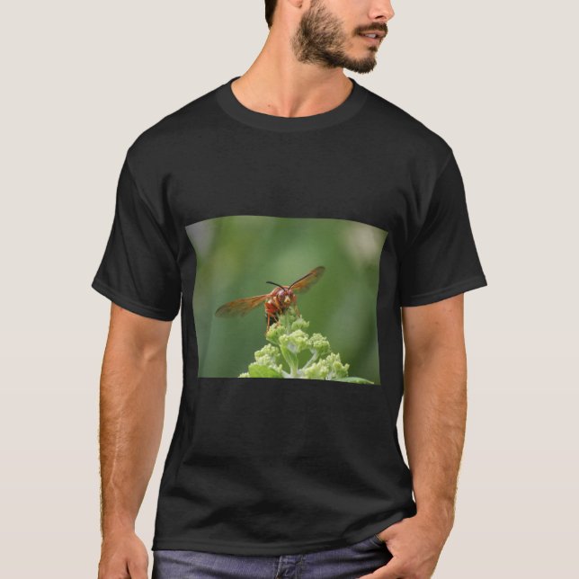 Camiseta Cicada Killer (Anverso)