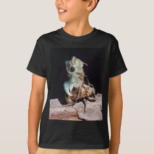 Camiseta Cicada saliendo de Shell