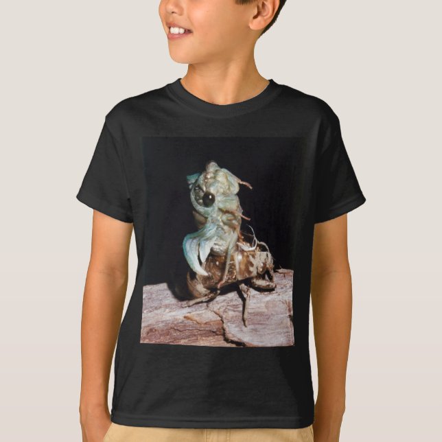 Camiseta Cicada saliendo de Shell (Anverso)