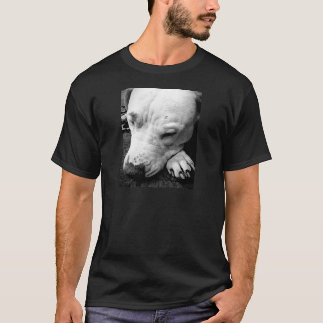 Camiseta cicatriz de harry potter perro pit bull blanco (Anverso)