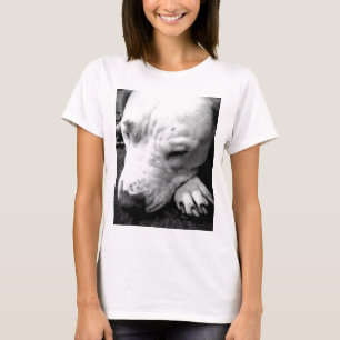 Camiseta cicatriz de harry potter perro pit bull blanco