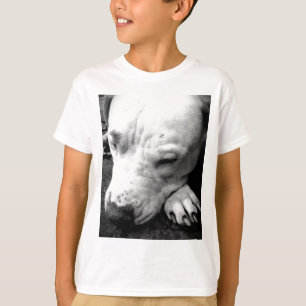 Camiseta cicatriz de harry potter perro pit bull blanco