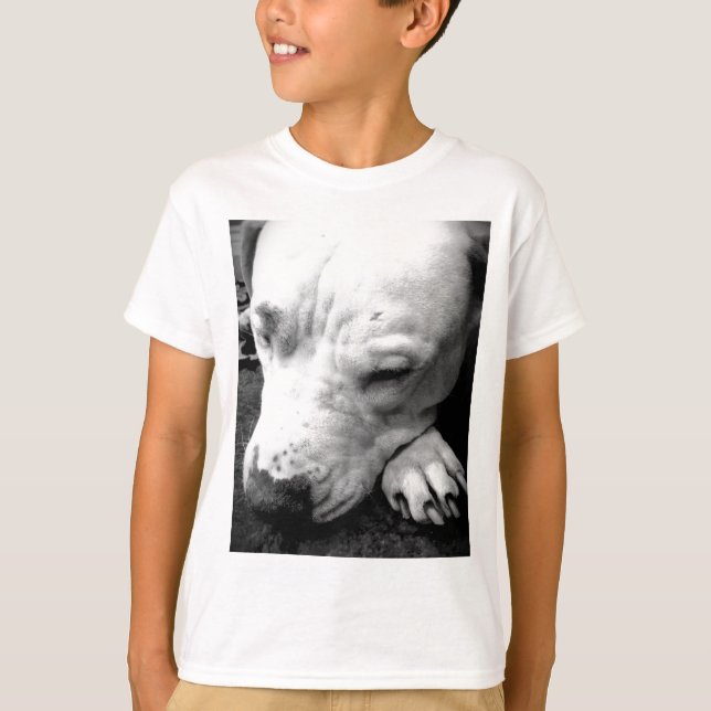 Camiseta cicatriz de harry potter perro pit bull blanco (Anverso)