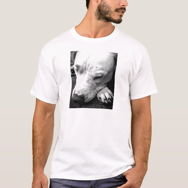 Camiseta cicatriz de harry potter perro pit bull blanco (Anverso)