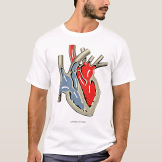 Camiseta Ciclo cardiaco