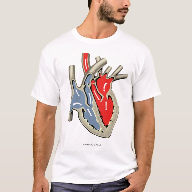 Camiseta Ciclo cardiaco (Anverso)