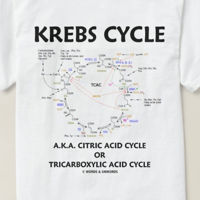 Camiseta Ciclo de Krebs (Ciclo de Ácido Cítrico - Bioquímic (Krebs cycle tee for those who know that it's one of the most important organic cycles for our energy)