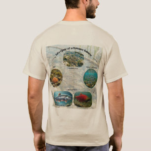 Camiseta Ciclo de Vida del Salmón Kokanee Gráfico