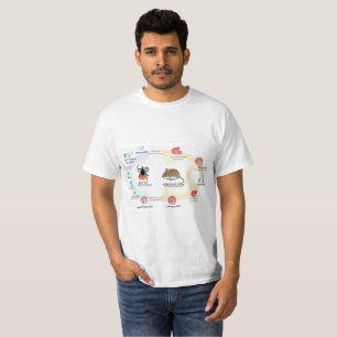 Camiseta Ciclo vital del microti de Babesia del diagrama de
