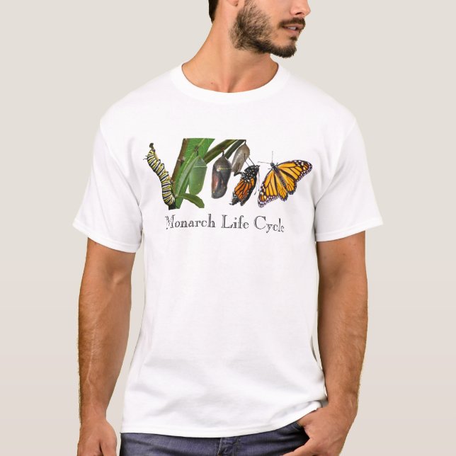 CAMISETA CICLO VITAL DEL MONARCA (Anverso)