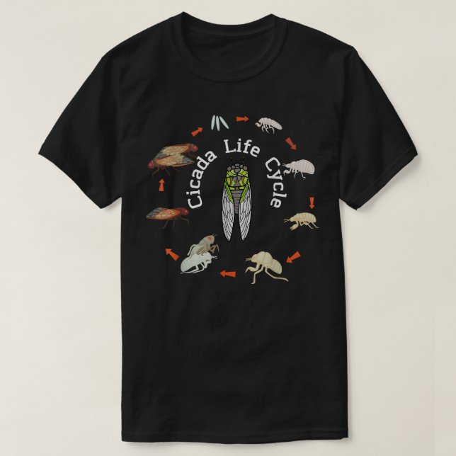 Camiseta Ciclón de vida X Magicicada (Diseño del anverso)