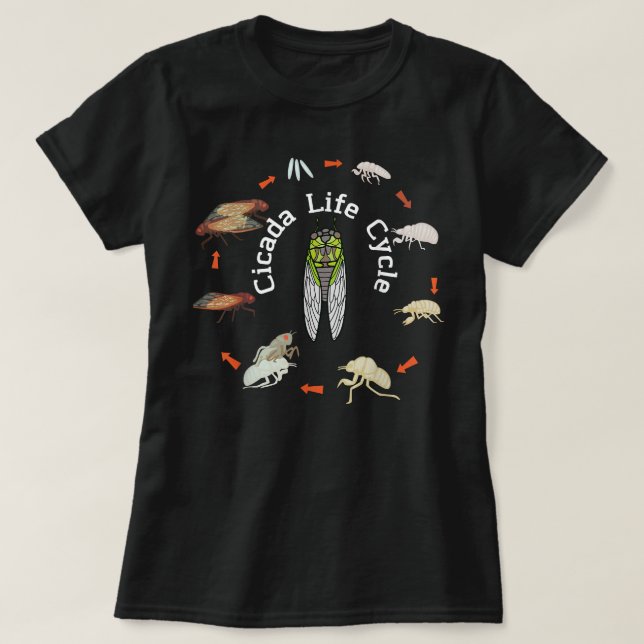 Camiseta Ciclón de vida X Magicicada (Diseño del anverso)