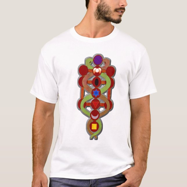 Camiseta Ciclos vitales (Anverso)