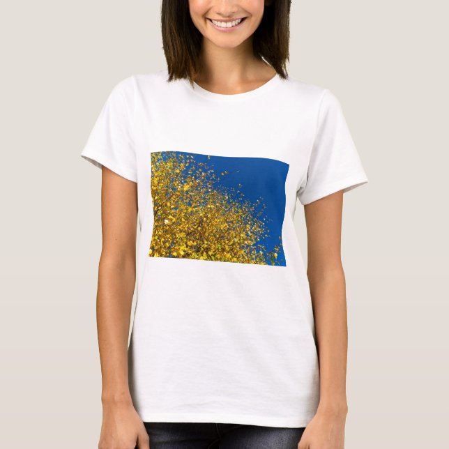 Camiseta Cielo azul del otoño (Anverso)
