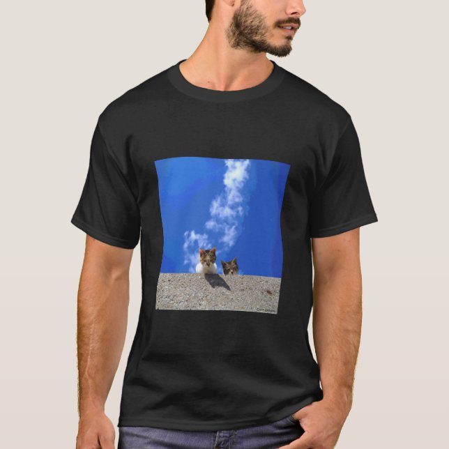Camiseta cielo azul y gato_001 (Anverso)