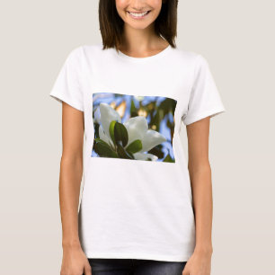 Camiseta Cielo de Vidrio Pintado Regalos de Magnolia del Su