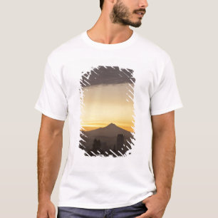 Camiseta Cielo del amanecer sobre Portland y Mt. Hood, Oreg