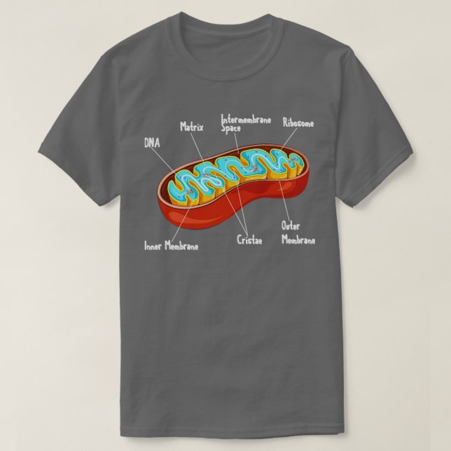 Camiseta Ciencia biológica de células mitocondrias (Diseño del anverso)