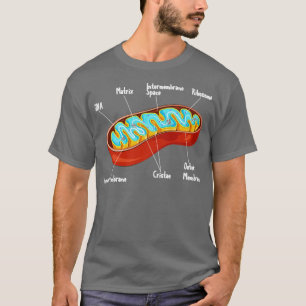 Camiseta Ciencia biológica de células mitocondrias