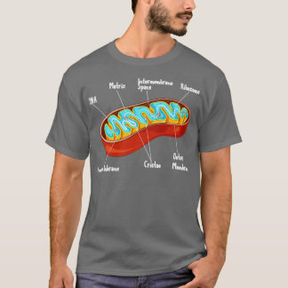 Camiseta Ciencia biológica de células mitocondrias