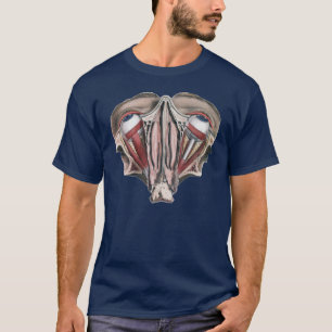 Camiseta Ciencia de anatomía humana vintage, ojos