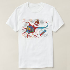 Camiseta Ciencia de diagrama de células nerviosas 