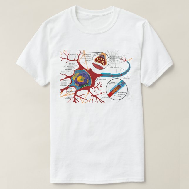 Camiseta Ciencia de diagrama de células nerviosas  (Diseño del anverso)