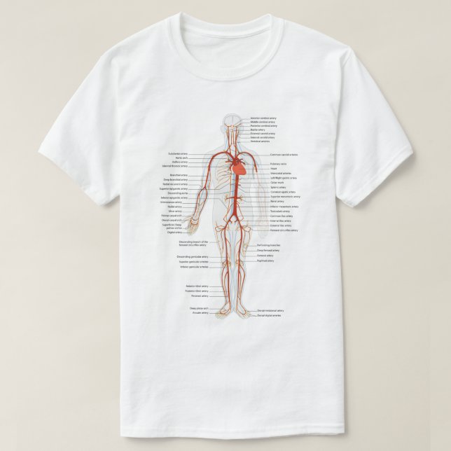 Camiseta Ciencias del sistema circulatorio   (Diseño del anverso)