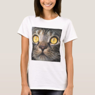 Camiseta Cierre de gato con ojos amarillos