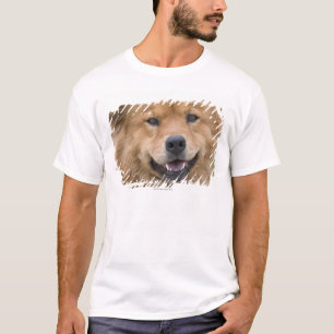 Camiseta Ciérrese para arriba de perro de la mezcla del