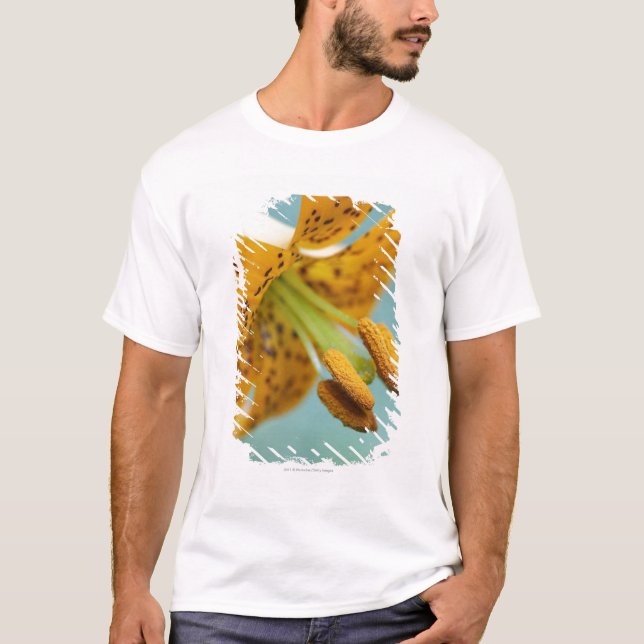 Camiseta Ciérrese para arriba de un lirio amarillo (Anverso)