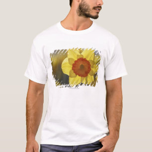 Camiseta Ciérrese para arriba de un narciso