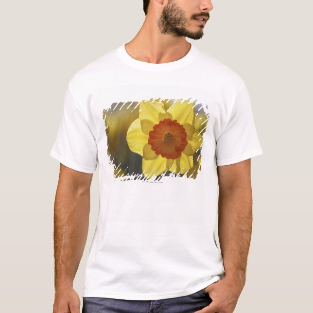 Camiseta Ciérrese para arriba de un narciso (Anverso)