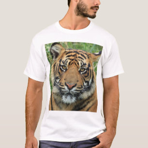 Camiseta ¡Ciertamente! Para una tienda en línea que vende c