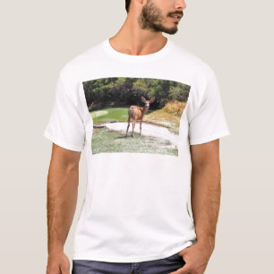 Camiseta ciervo mirando a la cámara naturaleza