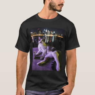 Camiseta Cigarette Kitten Funny Smony Cat Meme Estúpido Bra