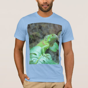 Camiseta Cigüana verde T-Shirt