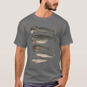 Camiseta Cinco ballenas de época