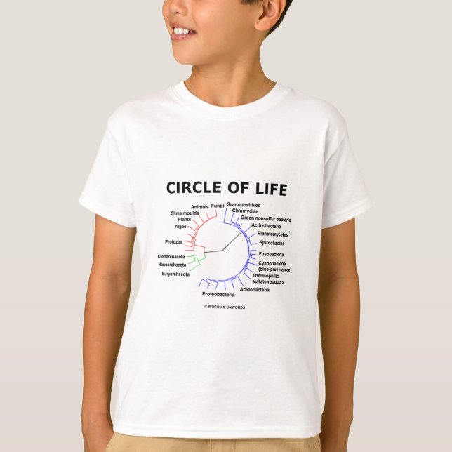 Camiseta Círculo de la vida (árbol filogenético circular) (Anverso)