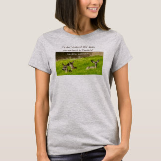 Camiseta Círculo de la vida Cambria