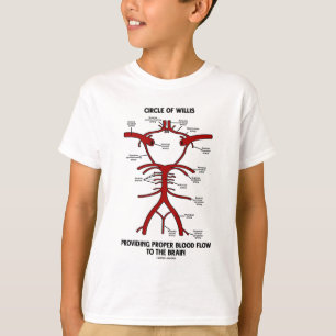Camiseta Círculo de Willis que proporciona el cerebro