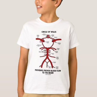 Camiseta Círculo De Willis Que Provee Un Cerebro De Flujo S