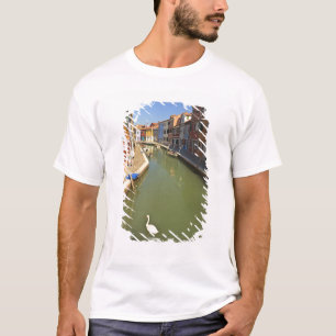 Camiseta Cisnes en canal, Isla Burano, Venecia, Italia